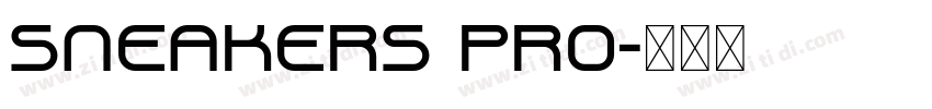 SNEAKERS PRO字体转换